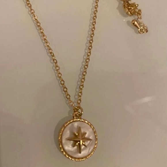 Mother of Pearl Star- White Iridescent Shell Ishtar Starburst Stainless Necklace - Picture 9 of 17